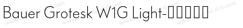 Bauer Grotesk W1G Light字体转换